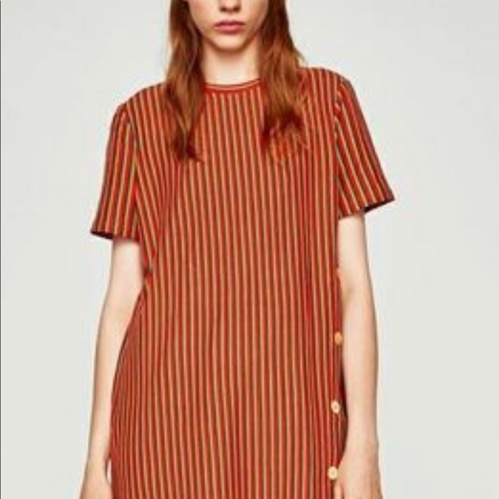 Zara Trafaluc dress size M